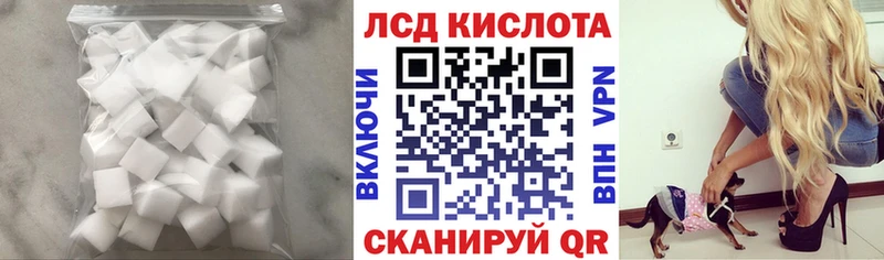 Лсд 25 экстази кислота  Купить  Александровск-Сахалинский 